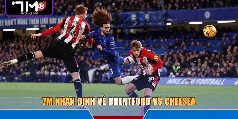 7M nhận định về Brentford vs Chelsea
